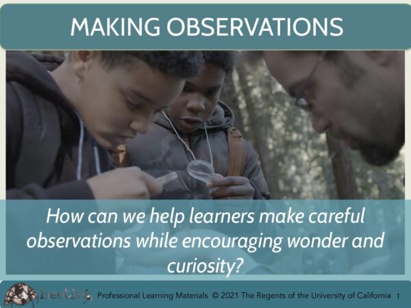 Making Observations Slides preview