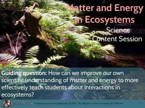 Matter And Energy In Ecosystems SLIDES preview