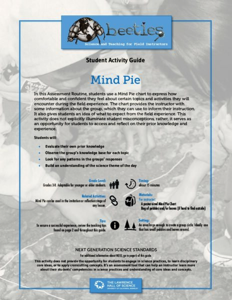 Mind Pie preview
