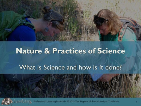 Nature And Practices Of Science Slides preview