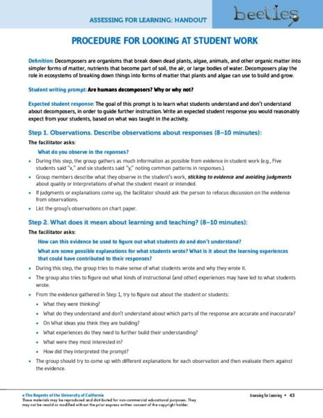 Procedure For Looking At Student Work preview