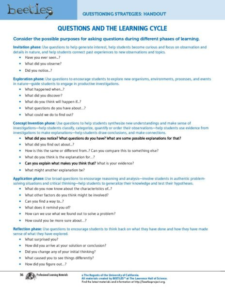 Questions And The Learning Cycle preview