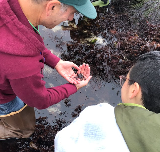 One person holds a small crab in the palm of their hand. Another person observes.