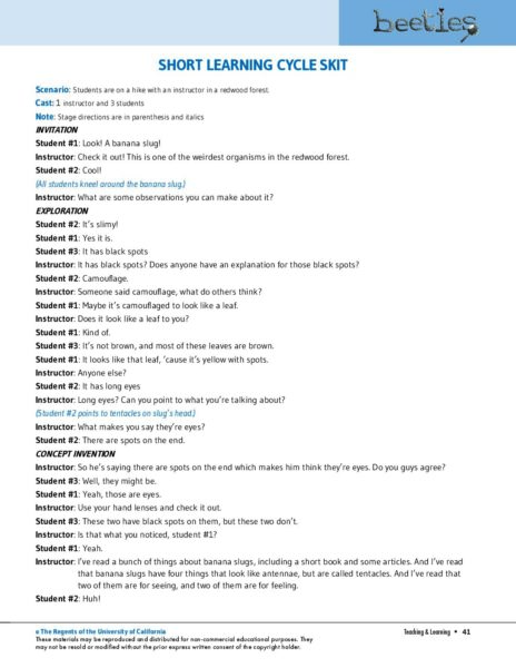 Short Learning Cycle Skit preview
