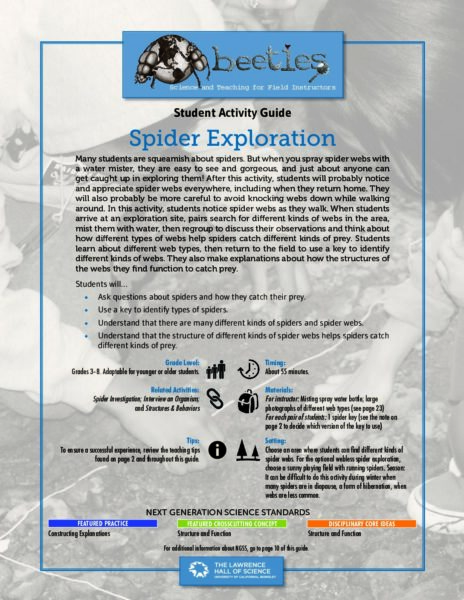Spider Exploration 1 preview