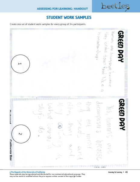 Student Work Samples preview