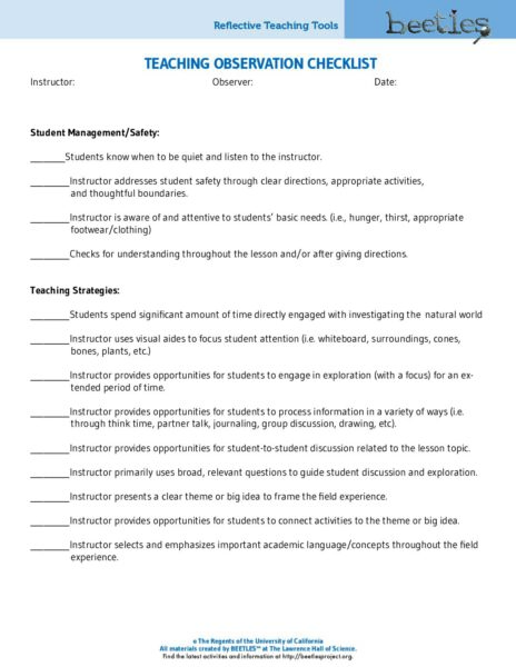 Teacher Observation Checklist preview