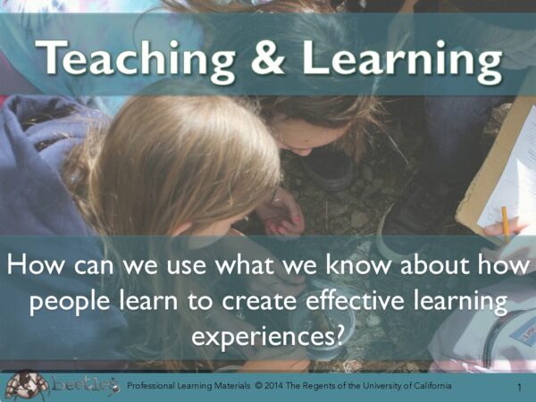 Teaching And Learning Slides preview