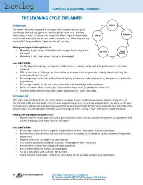 The Learning Cycle Explained preview