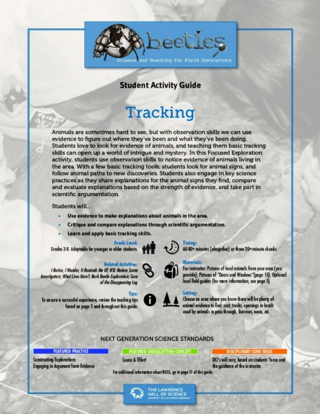 Tracking preview