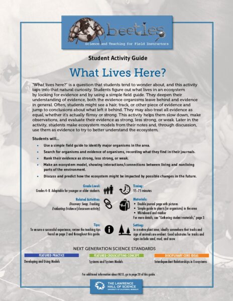 What Lives Here preview