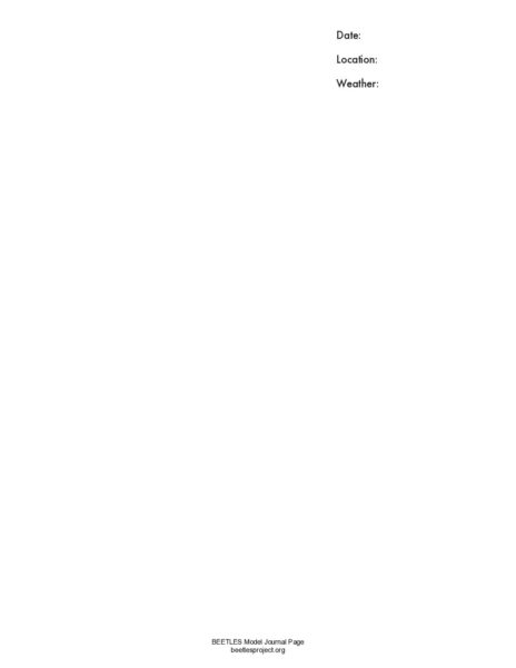 Blank preview