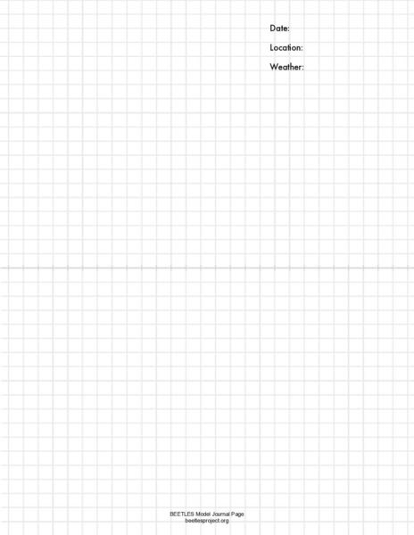 Graph Paper preview