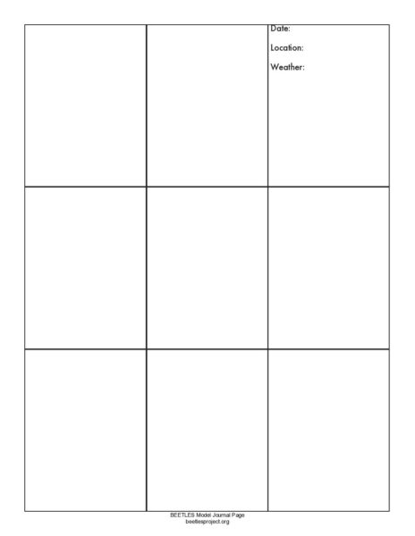 Large Grids preview