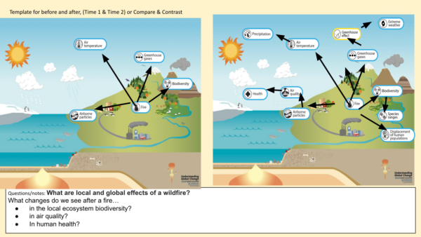 An infographic of a biological landscape and ecosystem before and after a wildfire.