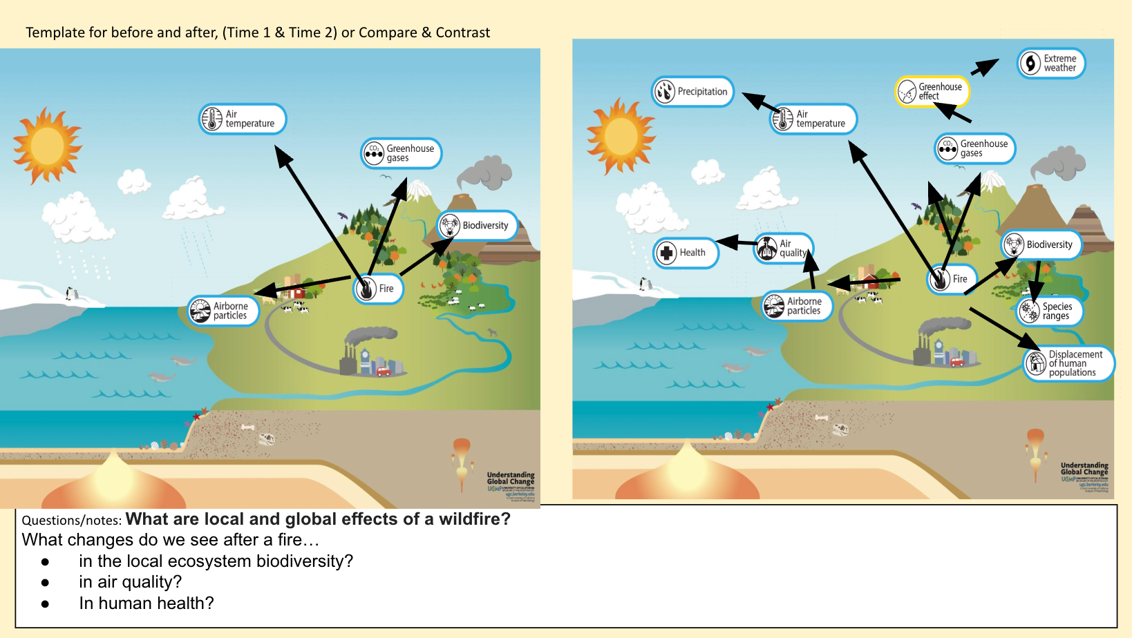 An infographic of a biological landscape and ecosystem before and after a wildfire.