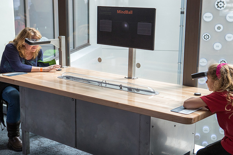 An adult and young visitor compete in Mindball