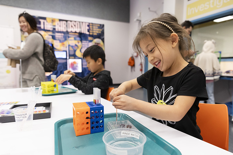 Young scientist practice using pipettes in the Hands-on Biotech exhibit
