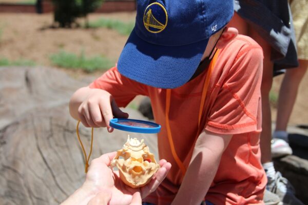 Boy with blue baseball hat observing a fossil with magnifying glass.