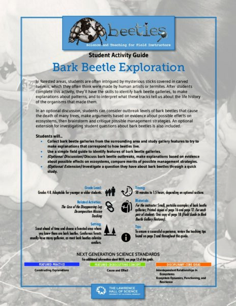 Bark Beetle Exploration preview