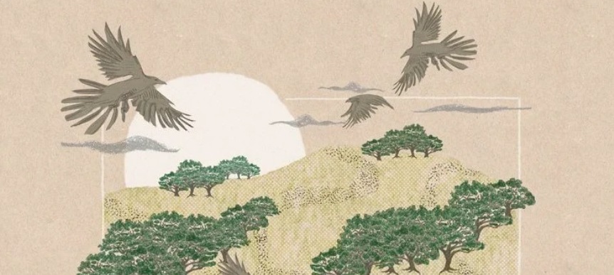 an illustration of birds soaring over a grassy hill. the hill is spotted with trees, and the sun is rising or setting over the hill.