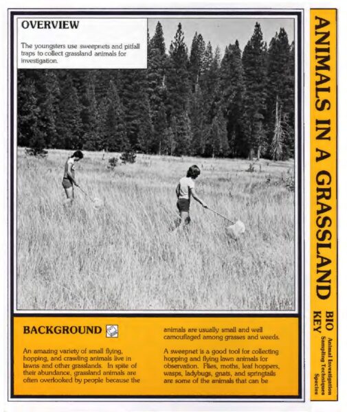 Animals In A Grassland preview