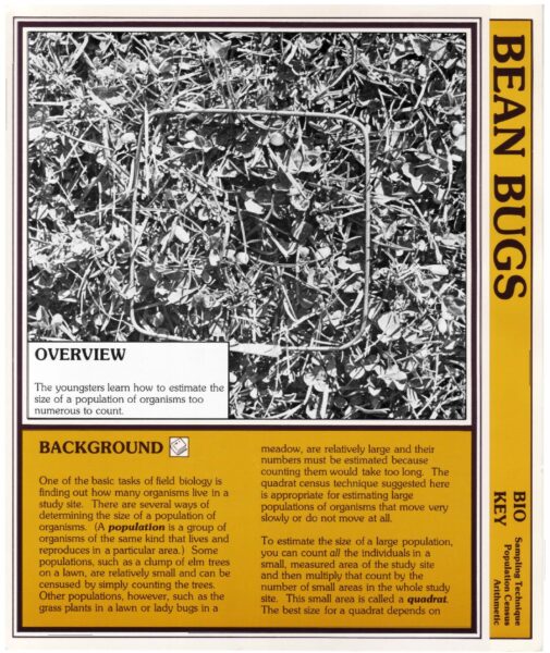 Bean Bugs preview