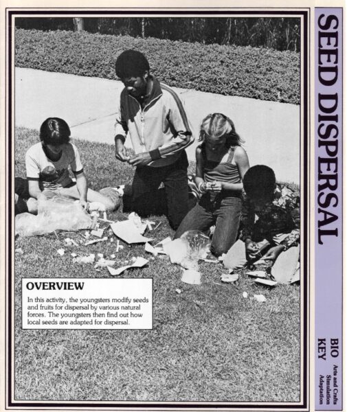 Seed Dispersal preview
