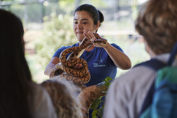 A Lawrence educator holding a rainbow boa as visitors look on during a Critter Connections program