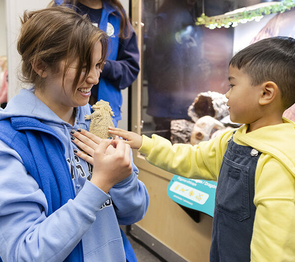 A young visitor pets Melbourne the Bearded Dragon