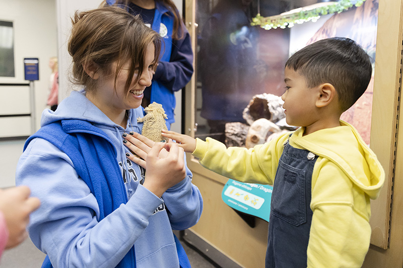 A young visitor pets Melbourne the Bearded Dragon