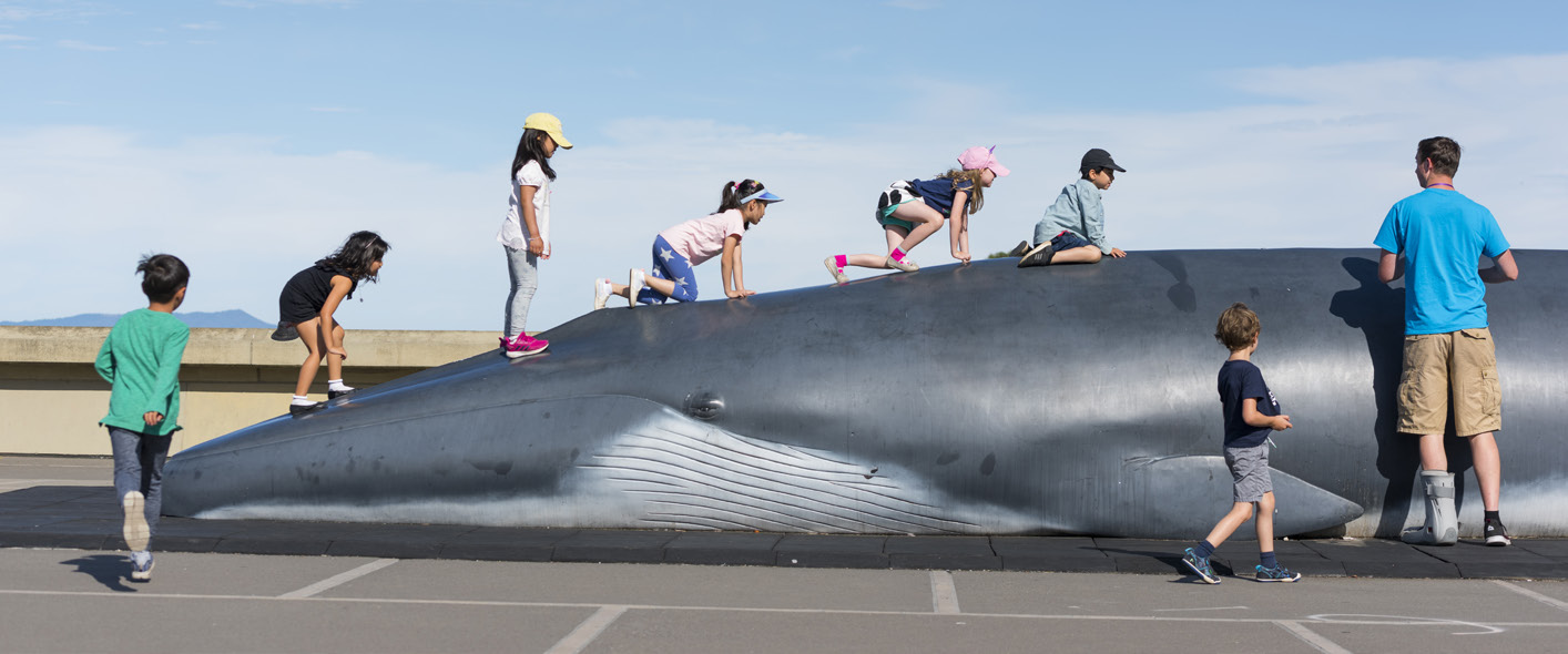 Children climbing on Pheena, the Lawrence Hall of Science fin whale sculpture.
